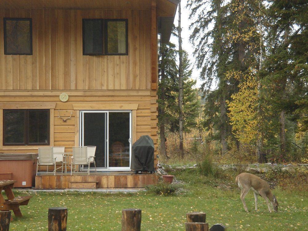 Kicking Horse Kabins Golden Exteriér fotografie